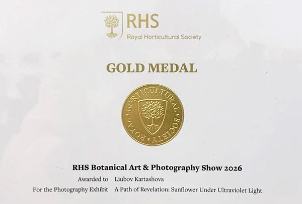 Gold Medal at The RHS Botanical Art and Photography Show 2026