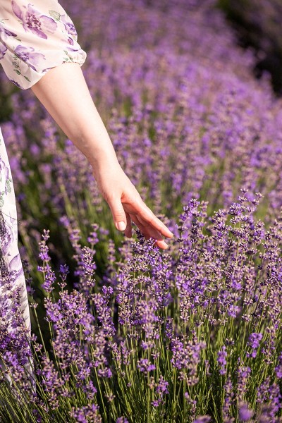 Mary & Volodymyr. Image #27