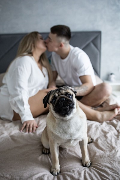 Ilona & Rostyslav