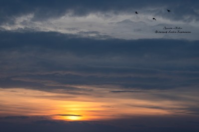 Sky. Image #4