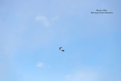 Sky. Image #44
