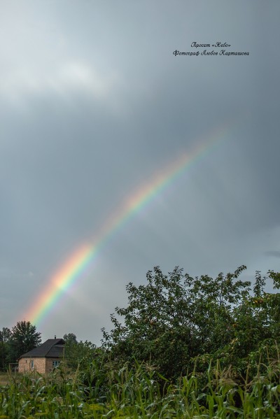 Sky. Image #47