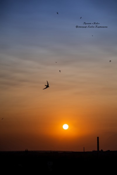 Sky. Image #48