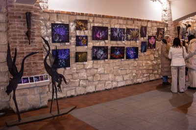 My First Photo Exhibition December 19, 2025 – Ivano-Frankivsk, "Bastion" Fortress Gallery #3