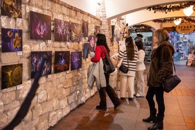 My First Photo Exhibition December 19, 2025 – Ivano-Frankivsk, "Bastion" Fortress Gallery #21
