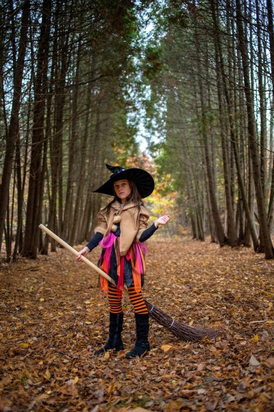 Halloween. Image #23