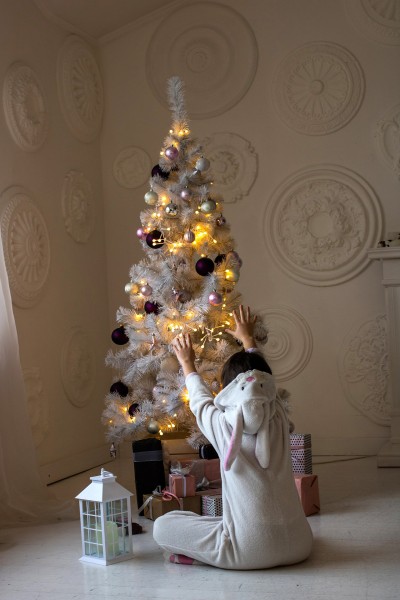 Christmas mood. Image #2