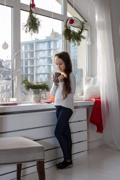 Christmas mood. Image #6