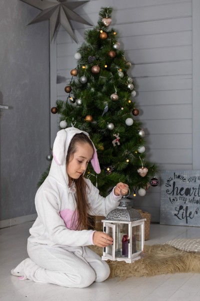 Christmas mood. Image #14