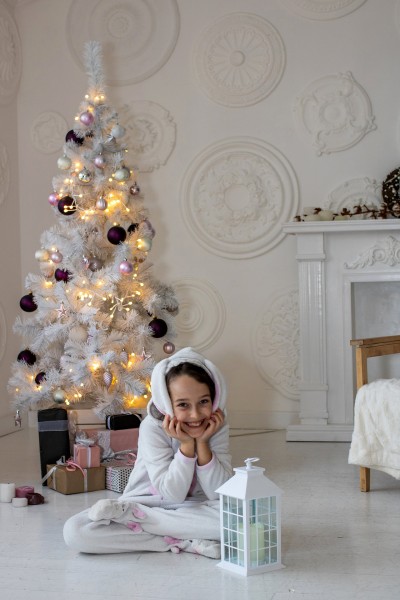 Christmas mood. Image #15