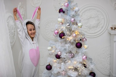 Christmas mood. Image #17