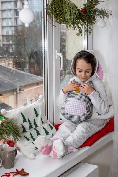 Christmas mood. Image #19