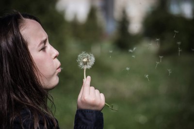 Бузковий настрій. Image #14