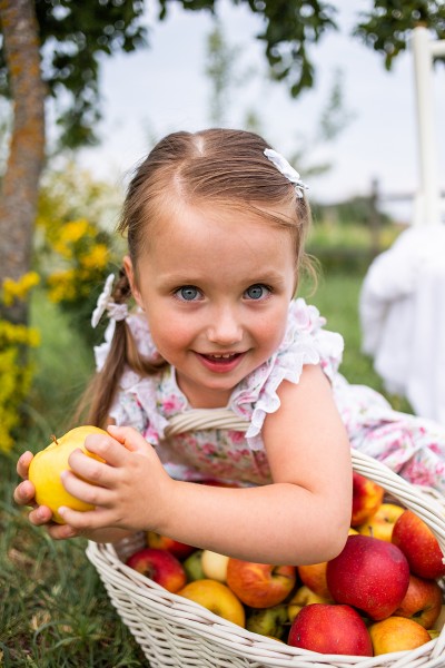 Apple season. Image #3