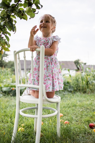 Apple season. Image #4