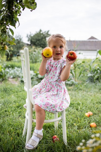 Apple season. Image #5