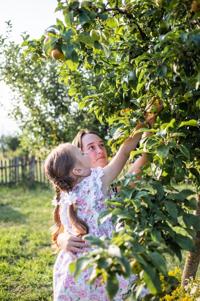 Apple season. Image #9
