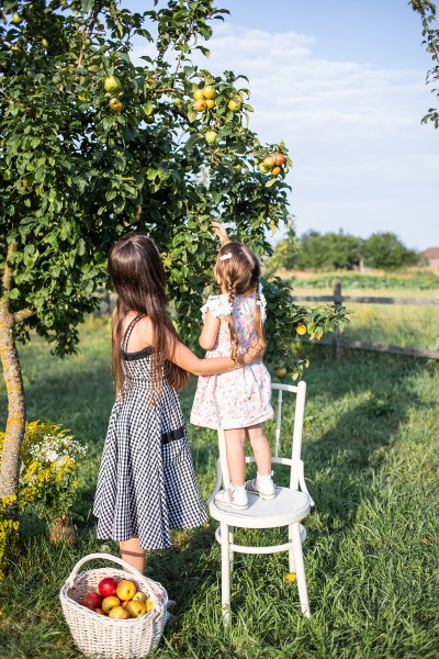 Apple season. Image #10