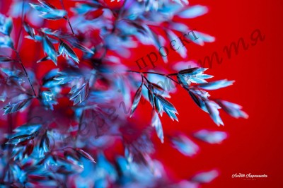The Energy of Life. Image #15