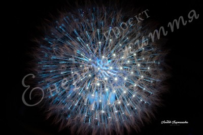The Energy of Life. Image #23