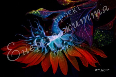 The Energy of Life. Image #10